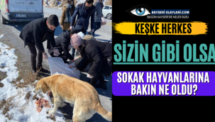 Keşke Herkes Sizin Gibi Olsa