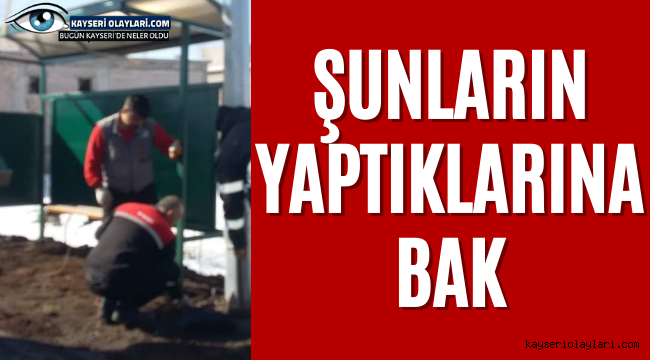 Şunların Yaptıklarına Bak!