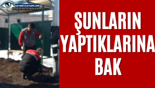 Şunların Yaptıklarına Bak!