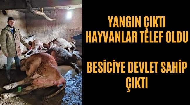 Yangın Çıktı Hayvanlar Telef Oldu!