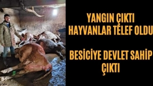 Yangın Çıktı Hayvanlar Telef Oldu!