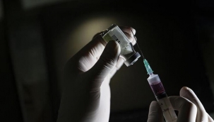 Bakan Varank: Yerli aşı sene sonuna kadar elimizde olacak