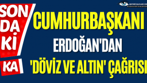 Cumhurbaşkanı Erdoğan'dan 'döviz ve altın' çağrısı
