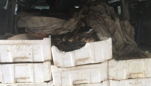 Ekipler şüphe üzerine durdurdu! Tam 800 kilogram