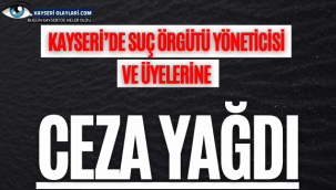 Kayseri'de suç örgütü yöneticisi ve üyelerine ceza yağdı