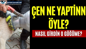Nasıl Girdin O Güğüme