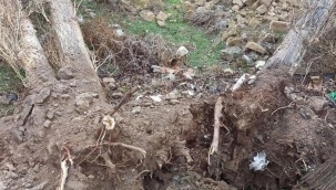 Nevşehir'de fırtına minarenin alemini uçurdu