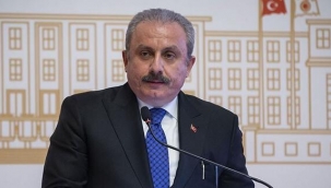 Son dakika... Meclis Başkanı Şentop'tan 'yeni anayasa' açıklaması
