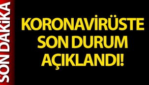 Türkiye'de son 24 saatte 29.058 koronavirüs vakası tespit edildi