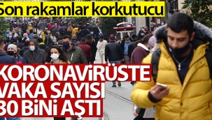 Türkiye'de son 24 saatte 30.021 koronavirüs vakası tespit edildi