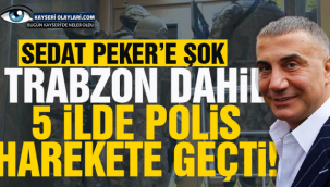 İstanbul'da Sedat Peker ve suç örgütüne eş zamanlı operasyon