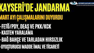 Jandarma bir aylık faaliyetini duyurdu
