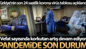 Son 24 saatte korona virüsten 341 kişi hayatını kaybetti