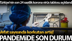 Son 24 saatte korona virüsten 394 kişi hayatını kaybetti