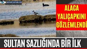 Sultan sazlığında Bir İlk!