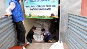 Talas Belediyesi baklagil tohumu dağıtıyor