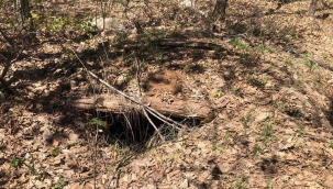 Tunceli'de teröristlerin kullandığı 9 sığınak imha edildi