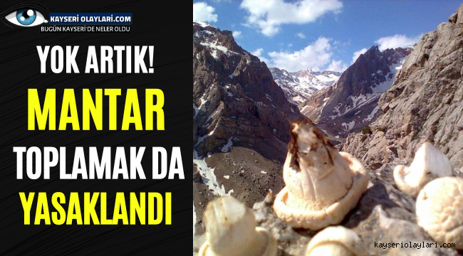 Yok Artık O İlçede Mantar Toplama Yasaklandı!