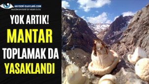Yok Artık O İlçede Mantar Toplama Yasaklandı!