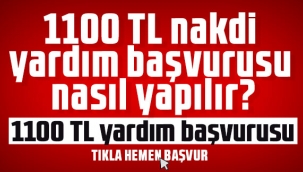 1100 TL nakdi yardım başvurusu nasıl yapılır? 1100 TL yardım başvurusu