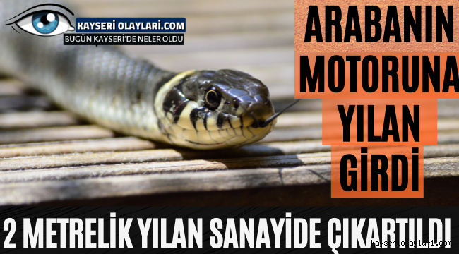 Arabanın Motoruna Yılan Girdi! 