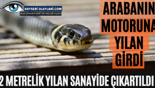 Arabanın Motoruna Yılan Girdi! 
