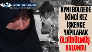 Aynı bölgede ikinci kez işkence yapılarak öldürülmüş kedi bulundu