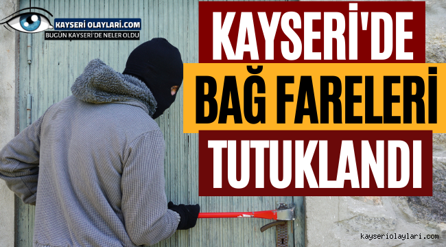Bağ evi Fareleri Yakalandı