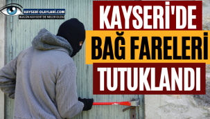 Bağ evi Fareleri Yakalandı