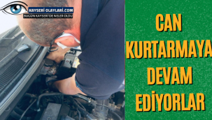 Can Kurtarmaya Devam Ediyorlar!