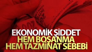Ekonomik şiddet hem boşanma hem tazminat sebebi