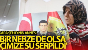 Gara şehidinin annesi: "Bir nebze de olsa içimize su serpildi"