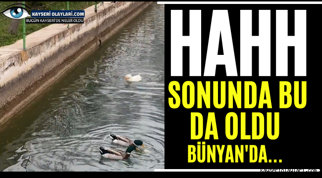 Hahh Sonunda Bu Da Oldu