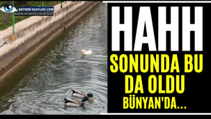 Hahh Sonunda Bu Da Oldu