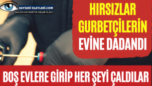 Hırsızlar Gurbetçilerin Evine Dadandı