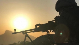 İçişleri duyurdu: Tunceli'de 3 terörist etkisiz hale getirildi