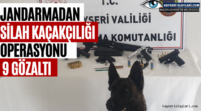 Jandarmadan silah kaçakçılığı operasyonu: 9 gözaltı