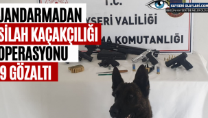 Jandarmadan silah kaçakçılığı operasyonu: 9 gözaltı