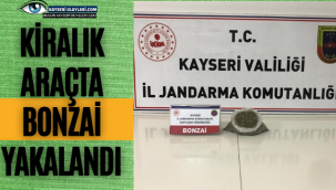 Kiralık Araçta Bonzai Yakalandı
