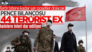 Son dakika: Bakan Akar'dan Pençe-Şimşek ve Pençe-Yıldırım operasyonu açıklaması