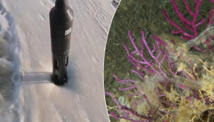 Son dakika haberi: Marmara Denizi'nde korkutan görüntü! Salya ölçüm cihazlarına bile engel oldu