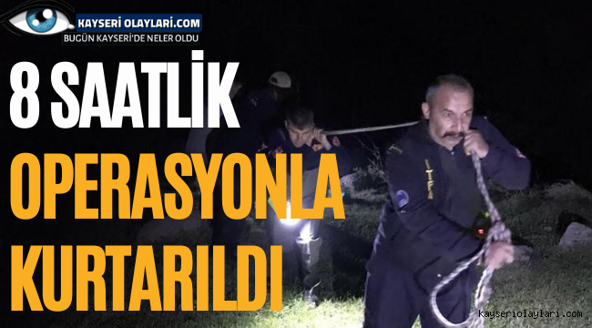 Son dakika haberleri! Dereye düşen büyükbaş hayvan 8 saatlik operasyonla kurtarıldı