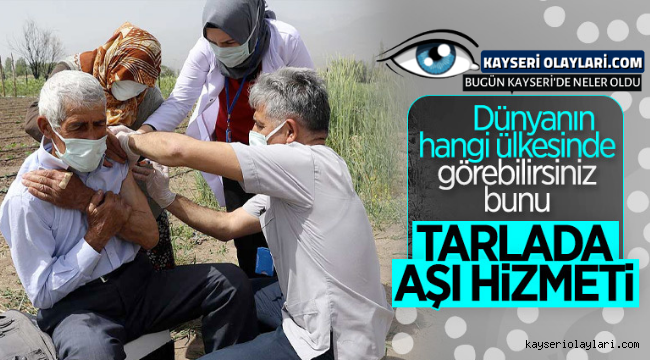 Tarlada aşı hizmeti 