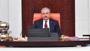 TBMM Başkanı Şentop'tan uluslararası topluma 'Filistin' çağrısı