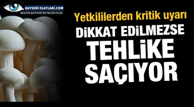 Yetkililer Uyardı! Aman Dikkat