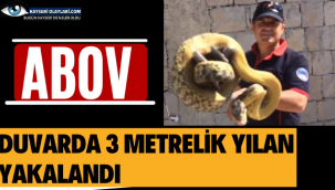 Abov!!! Evde Yakalandı 