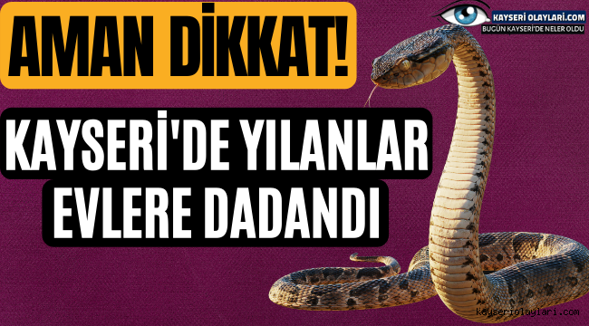 Aman Dikkat! Yılanlar Evlere Dadandı