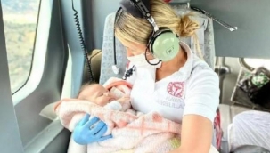 Bakan Koca'dan 'Meliha bebek' paylaşımı