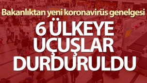 Bakanlıktan 'Ülkeye Giriş Tedbirleri' konulu genelge!
