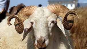 Bayram tatili kaç gün olacak, ne zaman başlıyor, ne zaman bitiyor? Tatil süresi 9 gün mü?